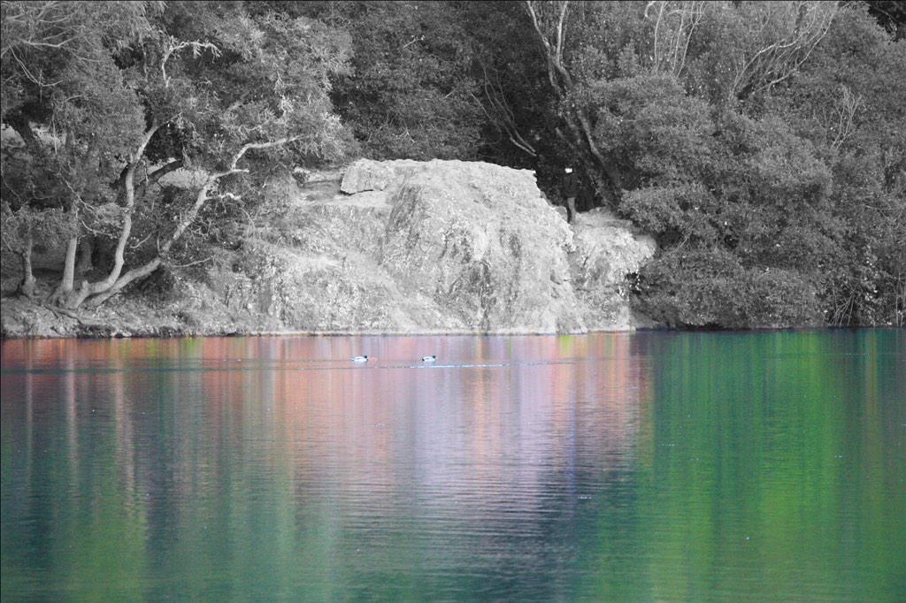 AppExposure's tweet photo. Reflection with Exposure! #appexposure #vibrant #deepbw http://t.co/HOAZnvSEmB