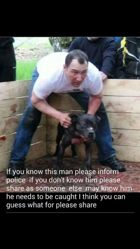 michkeegan's tweet photo. This HAS to STOP!!! Disgusting, Inhumane and Cruel! These poor dogs get made to fight to save themselves! Please RT! http://t.co/qAjoMyB1r2