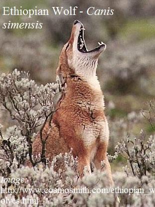 Crying out for help :( <a href="/AC360/">Anderson Cooper 360°</a> <a href="/andersoncooper/">Anderson Cooper</a> #helpus