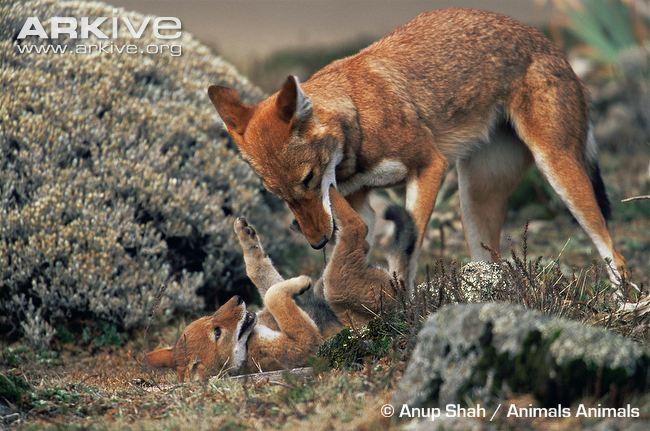 Playing while I still can! #DontWaitTillItsTooLate