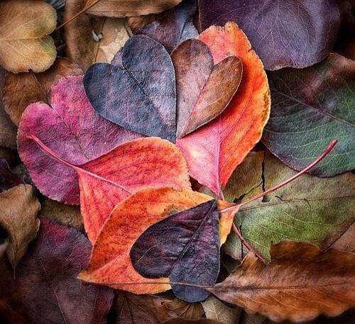 EL OTOÑO SE ACERCA CON MUY POCO RUIDO...* - Página 26 B2_JyfUIMAEpe00