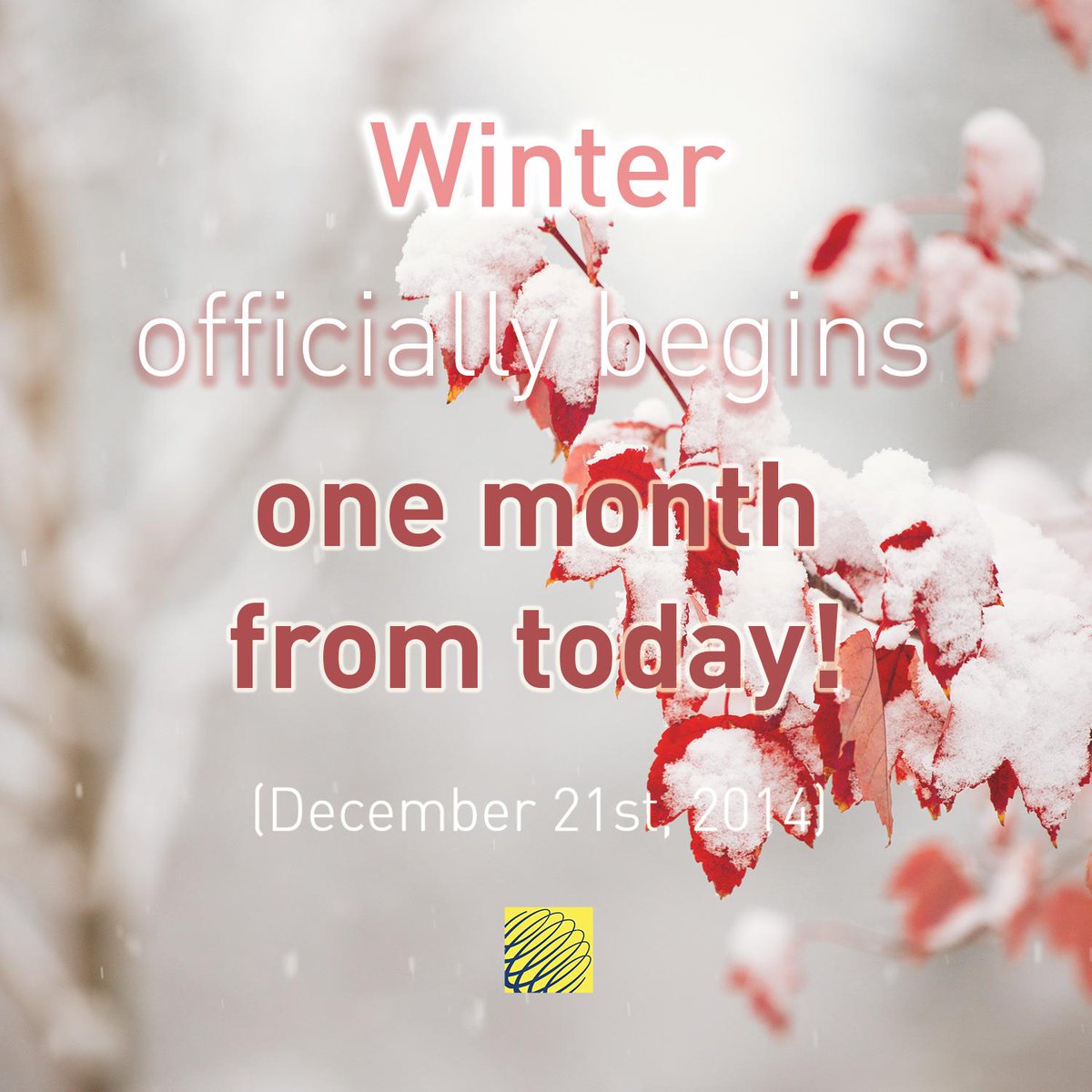 weathernetwork's tweet image. Wait ... what? #TWNWinter