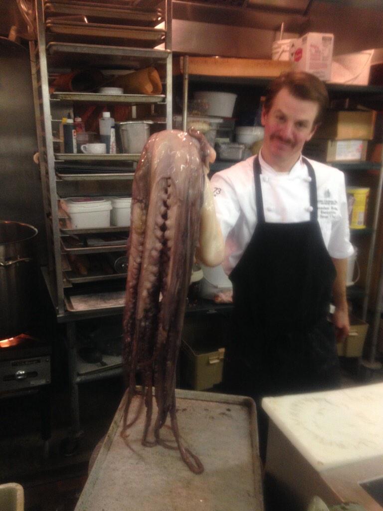 huntfishgrow's tweet photo. Curing octopus for new menu. @Pier_73 @PacGatewayHotel #huntfishgrow http://t.co/vPGLEHleAF
