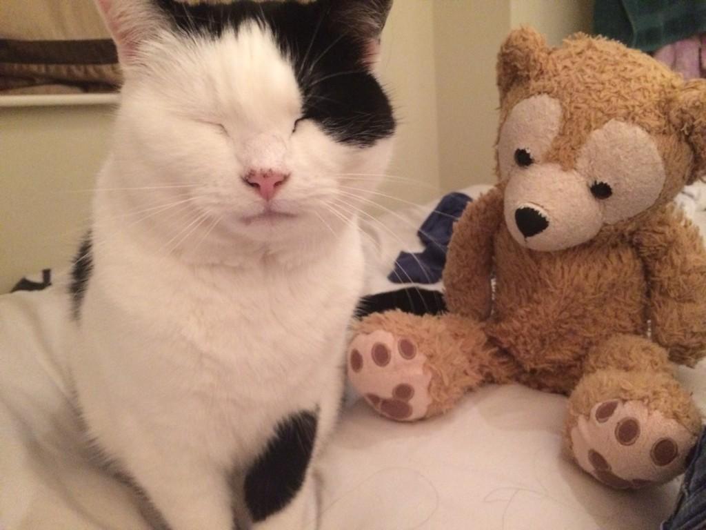 Ruffles, if I hear you say 'does a bear sh*t in the woods' one more time, I will unleash my force upon you. 😾
