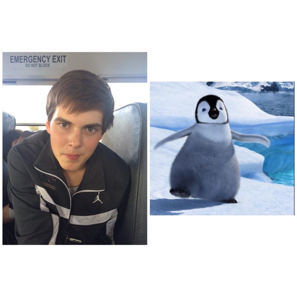 jeffreydeandoug's tweet photo. #orrie #penguinorrie #penguin http://t.co/BZxkdv4n8N