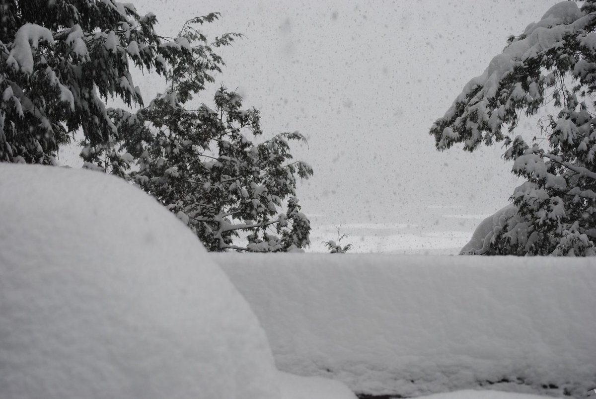 burdocklake's tweet photo. Winter Wonderland http://t.co/j26Wy32pkV