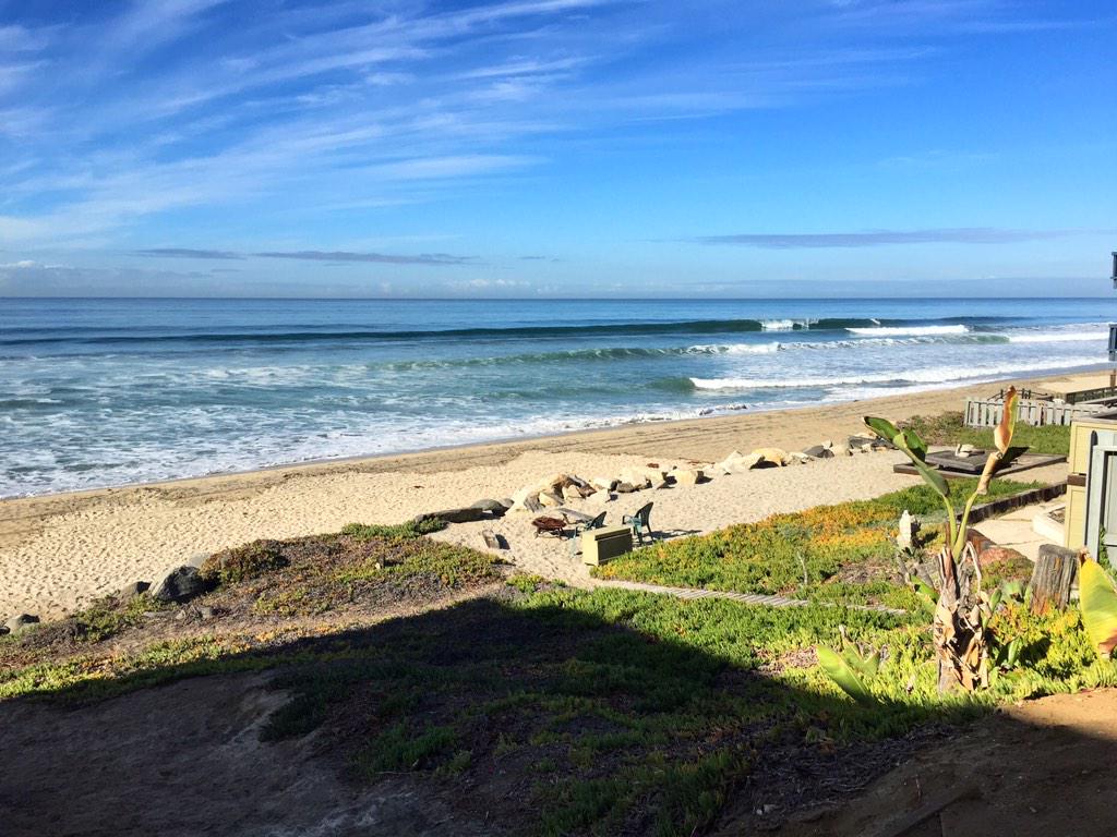 Mehdi R Niroomand tweet media