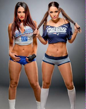 Happy birthday to Nikki and Brie Bella ( x x 