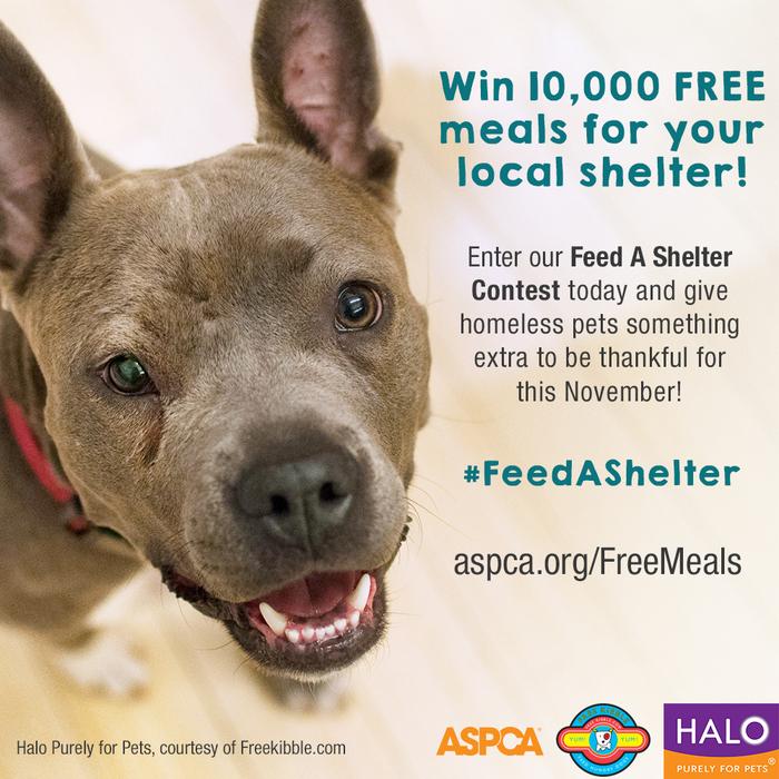 ASPCA's tweet photo. Want to win 10,000 meals for your local shelter? Help us #FeedAShelter by clicking here: http://t.co/efEoaLBgXi http://t.co/DgMthk7Pkf