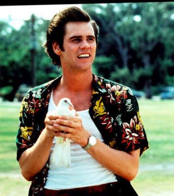 J_Swift17's tweet image. @antanddec Ant, Ace Ventura called and he wants his shirt back #HawaiianShirtFridays