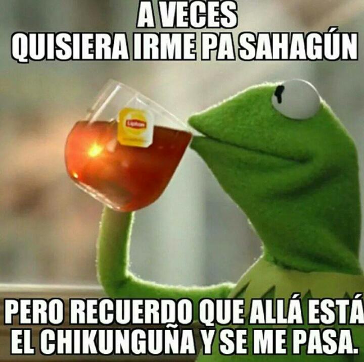 TatianaDumar's tweet photo. Jajaja :) http://t.co/oTa8tGQJvm
