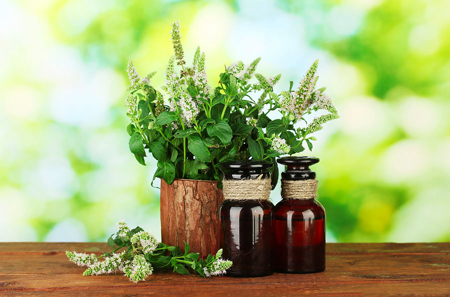 naturegorgeous's tweet photo. Not sure about Organic skin care products, Check our products on @naturegorgeous #IESEGSMM http://t.co/dyGAH4cZdB
