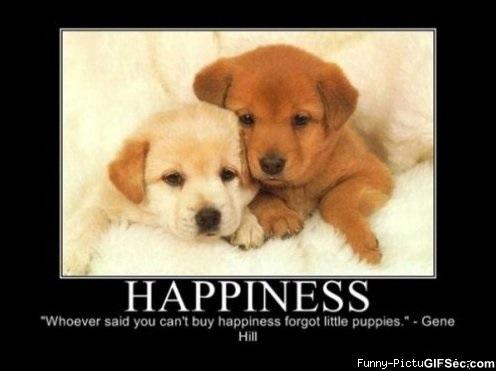 THEAnimalLover7's tweet photo. This couldn't be more true! http://t.co/fmPUzV7s5w