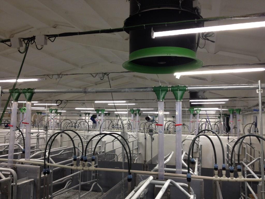 EdGubbels's tweet photo. Another farrowing house at Miratorg in Russia has been equiped with Fancom ATM units and F21 control. http://t.co/TTQdEJDzNO