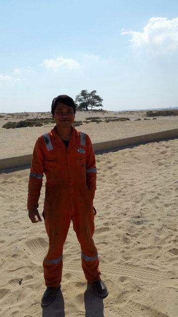 Tree of life in Bahrain--miss you bang