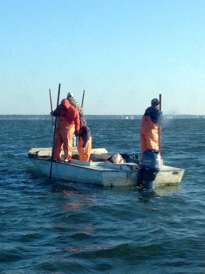 JamieMillerMS's tweet photo. Next time you enjoy a Mississippi Oyster, remember these MS Fisherman working in subfreezing conditions #GulfFresh http://t.co/LgXBYR9YNY