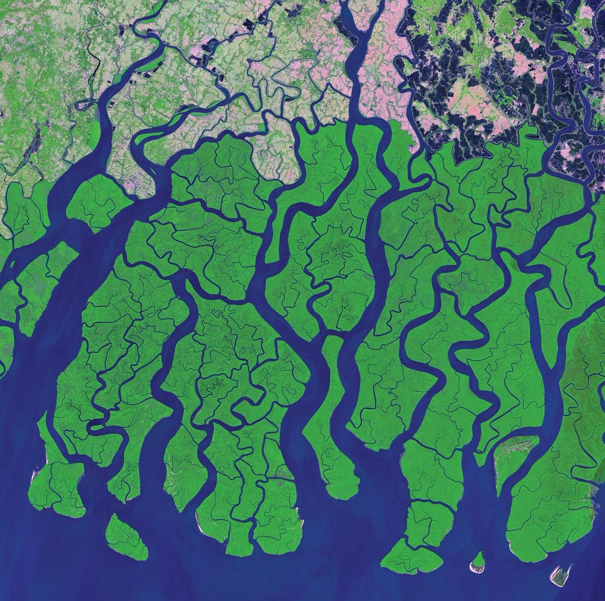 NASA's tweet photo. We’re @WPCSydney showing how Earth satellites can help protect parks worldwide: http://t.co/MKgBjVImP6 #EarthRightNow http://t.co/8dY5AeI0mU