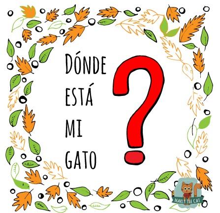 Marlythecat's tweet photo. Si no encuentras a tu gato, lo más probable es que esté en alguno de sus escondites, éste es su modo NINJA!!! http://t.co/64zxIVJEDY