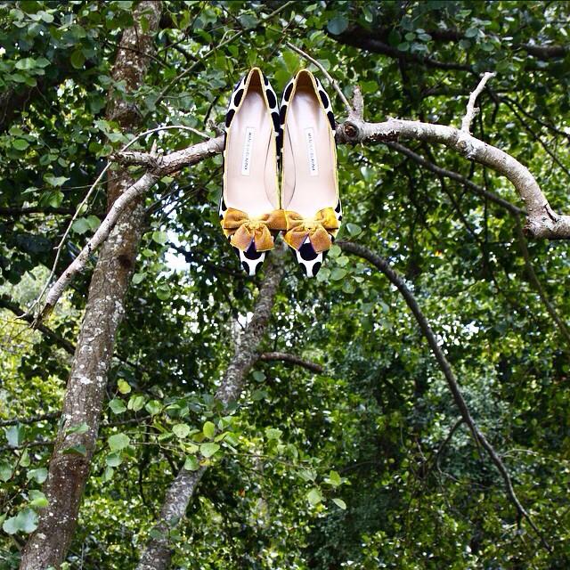 Embedded image permalink