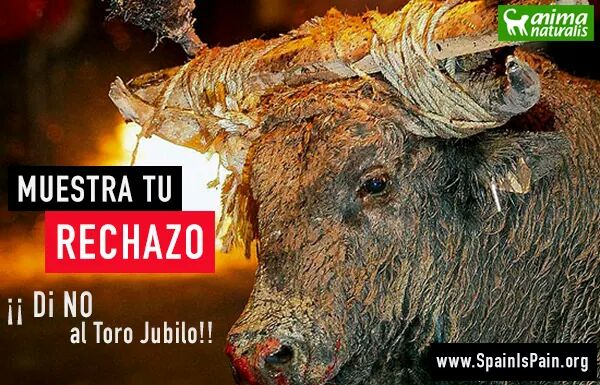 ¡NO al Toro de Júbilo! Muestra tu rechazo YA: SpainIsPain.org #SpainIsPain #MarcaEspaña