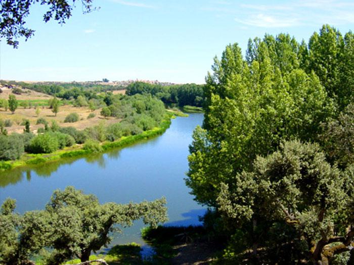 TimeandBonus's tweet image. #Findesemana campero con ruta a caballo incluida en Casa Rural La Torrecilla #escapada goo.gl/NbUPXd