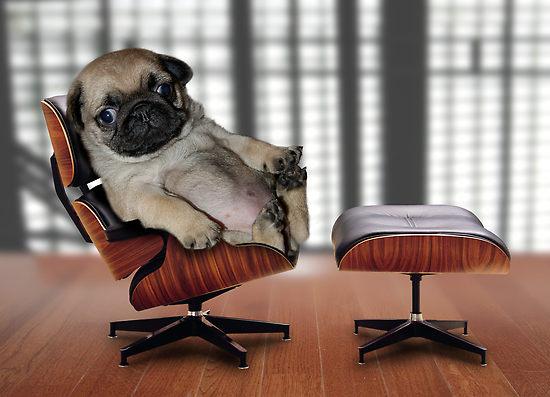 BusinessHands's tweet image. You don't have to be big to become top dog #businesshandsmarketing for small business buff.ly/1xo6OGQ
