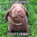 Photo by FurryPawsClub (@FurryPawsClub)