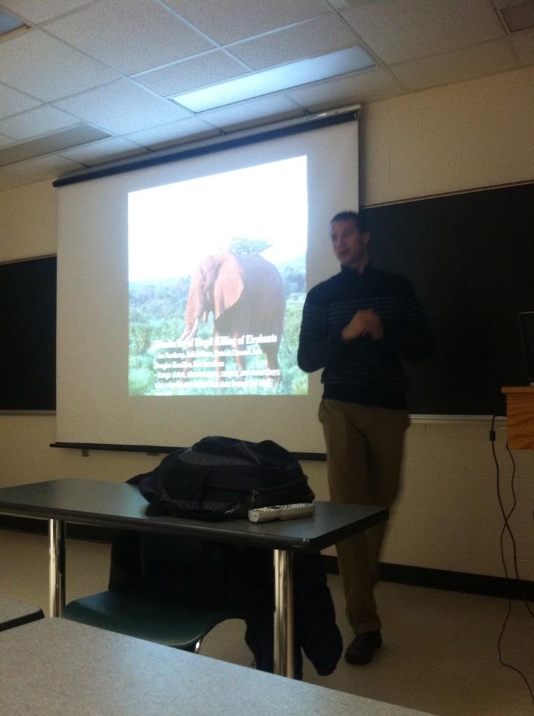 CEmiFergus's tweet photo. @GeorgeWittemyer Great turnout! MSU FW seminar on Af. elephant conservation using quant meths to scale to continent http://t.co/ePrRASkt4m