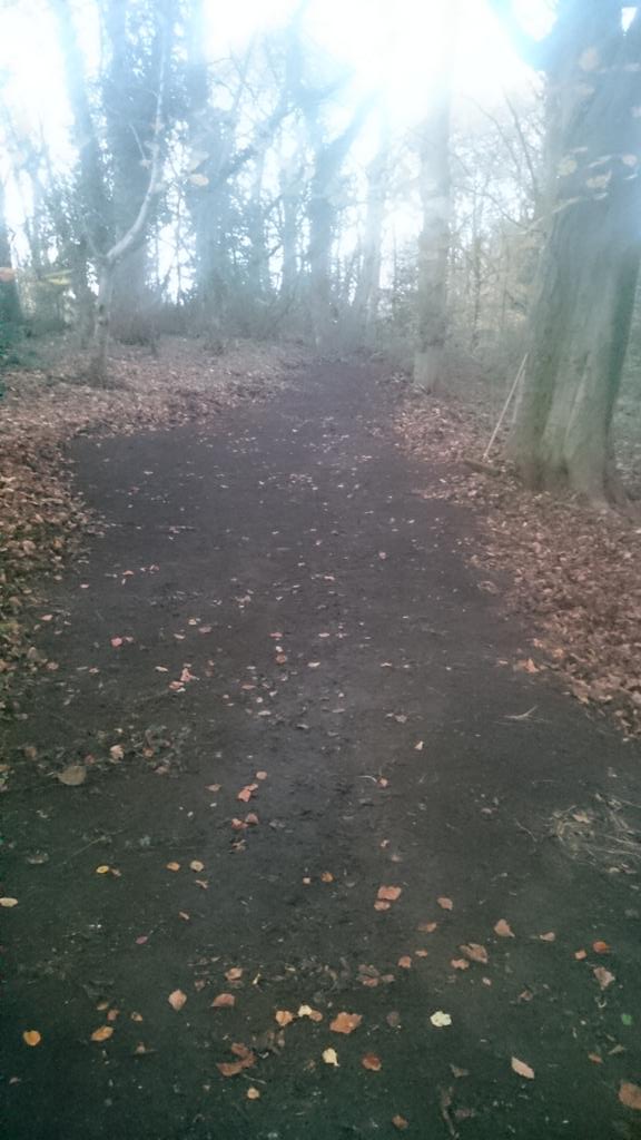 LCRC1916's tweet photo. #GBCX still at it. New paths to explore http://t.co/ZvUwzIExHR