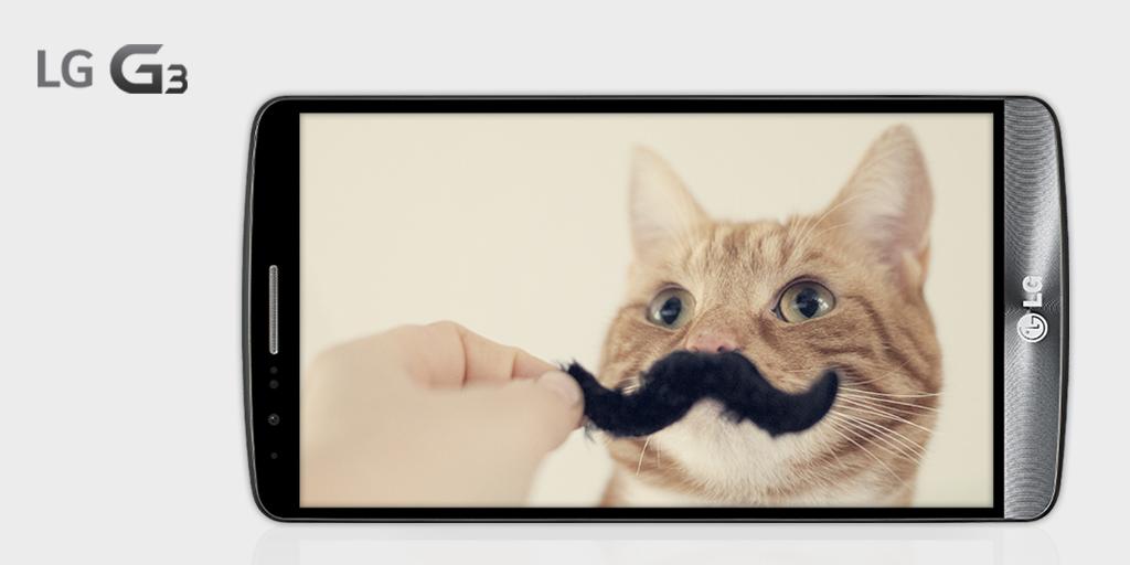 LGUSAMobile's tweet photo. There’s more to love about a bigger #QuadHD screen. Well, mostly cat videos. http://t.co/T1KBGCesIk