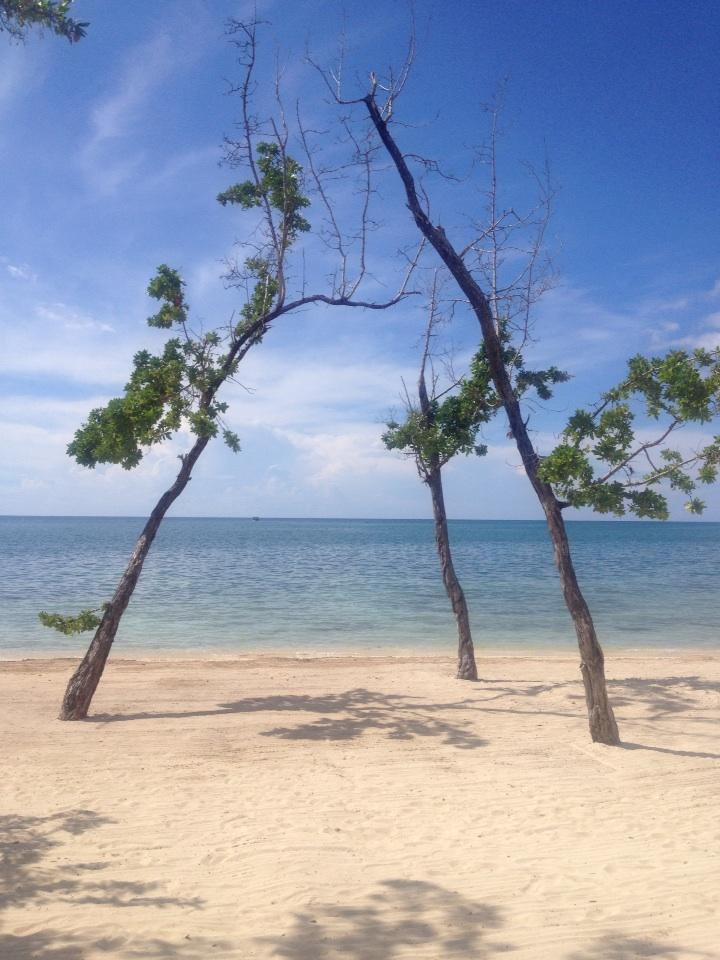 amylevinepstein's tweet photo. Seriously stunning ceremony location @SandalsResorts @WeddingMoons in Whitehouse, Jamaica #sayidotosandals http://t.co/34sUO7grwG