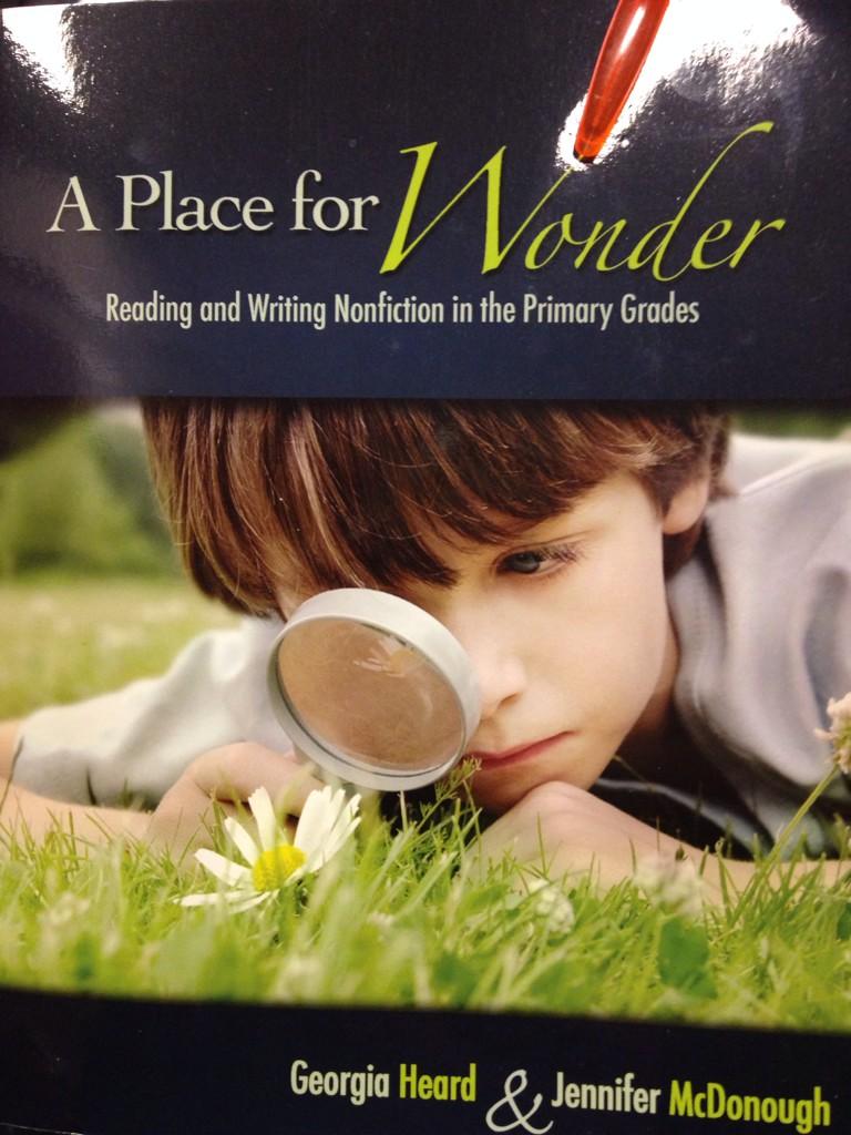 Excited to create a "landscape of wonder in my classroom where curiosity, creativity, and exploration are encouraged!