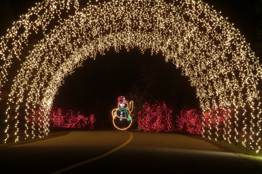 AAA_Travel's tweet photo. Get into the holiday spirit starting tonight at the Holiday Festival of Lights in #Charleston SC! - #AAAEditor SKY http://t.co/dktxzSmfK0