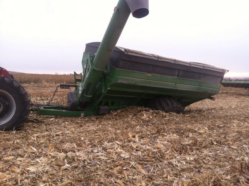 CarlsonFarms_'s tweet photo. Well I guess the frost isn't too deep yet.  #stuck  #harvest14 http://t.co/4XpPctukiH