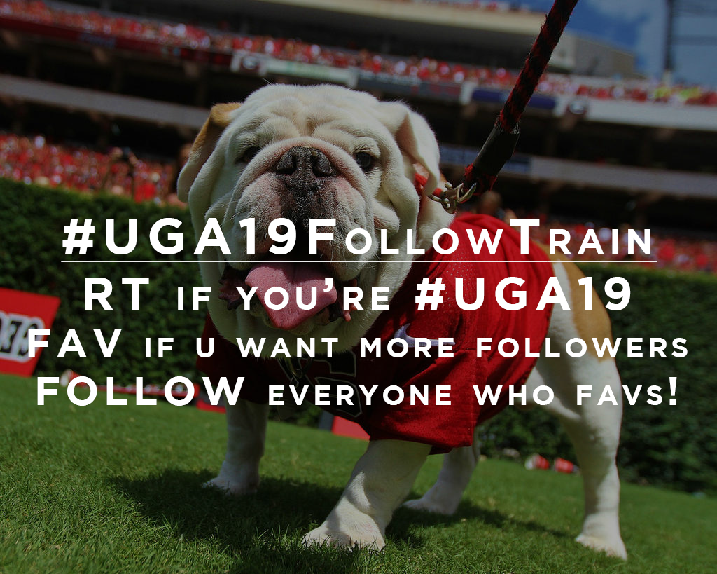 UGA_2019's tweet photo. RT if you're officially a dawg now. 
Fav if you want more #UGA19 followers!
#UGA19FollowTrain #UGA #UGAAdmissions http://t.co/kaBpvOc9vi