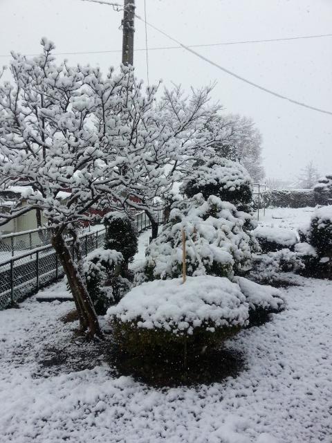 kosakasyoukai's tweet photo. 今朝の自宅前。
冬だから、雪は当たり前なのですが これから毎朝の雪かきが始まりかと 思えば気が重い(雪も) http://t.co/vWsDxj74CD