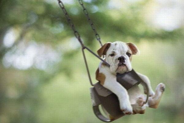 THEAnimalLover7's tweet photo. <3 http://t.co/uuR0eT2FpB