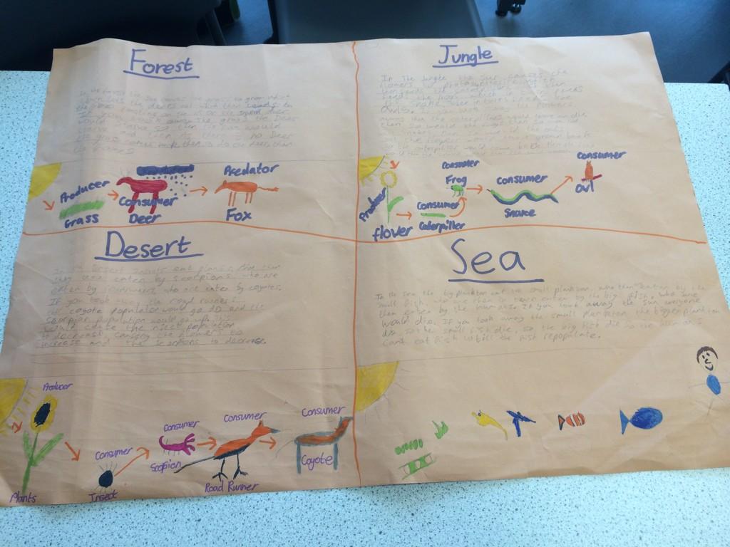 SETSaxmundham's tweet image. Great to see the Year 8/9 Ecosystem Projects in Science @SaxmundhamFS taking shape; part 2 #creativityinscience