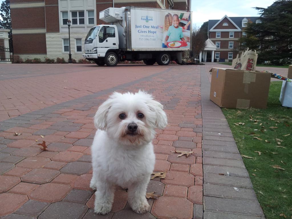 cnuengage's tweet photo. Oliver says you have one hour left to get your can over to Trible plaza and buy a shirt for #cnufood4thought http://t.co/pS7hOGdFUa