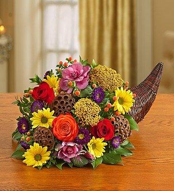 YourFlowersUS's tweet photo. 1-800-Flowers - Fresh Flower Cornucopia - Small By 1800Flowers - http://t.co/CjndxBJrwP http://t.co/kcPwVfvZdm