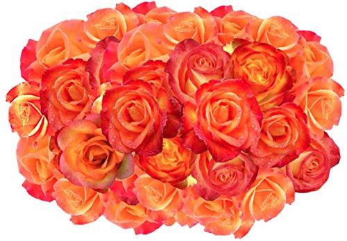 YourFlowersUS's tweet photo. Flowers For Delivery - Impress Her With 50 GIANT, YELLOW &amp; ORANGE (Or Choose Color) ... - http://t.co/faSwSDn7wV http://t.co/iTaS7GBcwJ