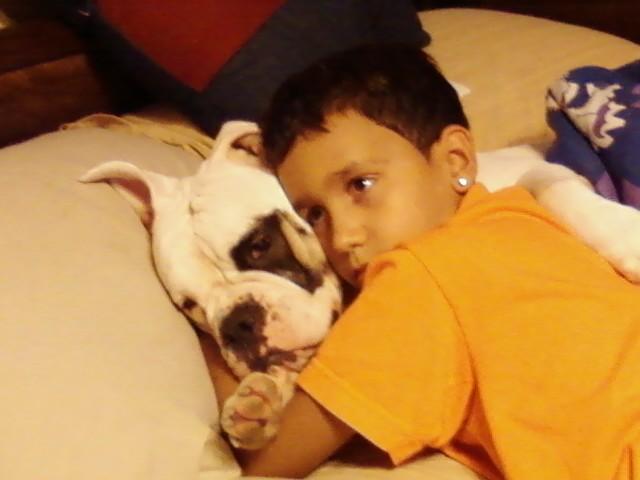 RealEstateArrow's tweet photo. I want a dog again #rip #Missherlikecrazy #bestfriends #malaika #memories http://t.co/57e5biWeeJ