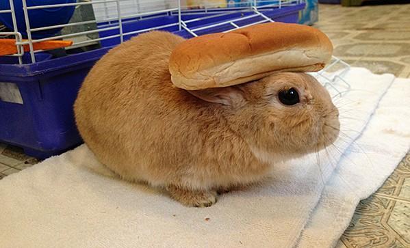 パン。