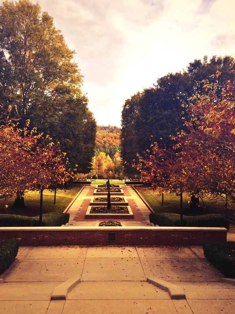 LassondeSophie's tweet photo. Even when I can't feel my hands or toes from this cold, I adore my school.🍂🍁❤️ @SamfordU @Samford_18 http://t.co/x9Q5kcsmGv