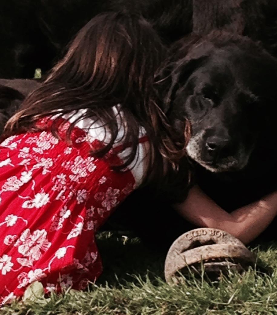 higbee_penny's tweet photo. Sad day today my lovely boy Sam xxxx http://t.co/xmBqkk0vjh