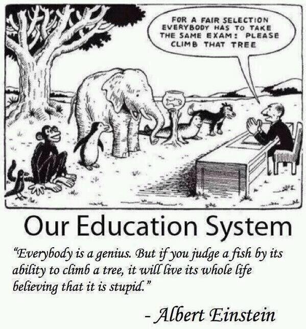BaeFeeIing's tweet image. our education system