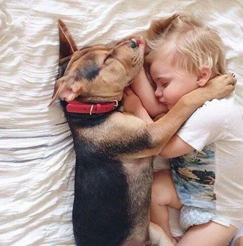 nitrometano78's tweet photo. Tenerissimi http://t.co/pMntiTZasL