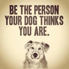 THEAnimalLover7's tweet photo. If only everyone would follow this rule http://t.co/HjrC9pYTb1