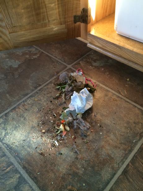 After a week of not sweeping! Are we alone?  #mykidsarepigs