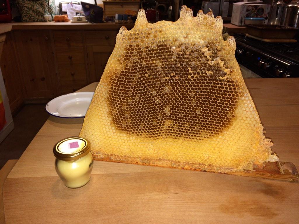 dontclmehoney's tweet photo. They eat the honey :) There's some wax left over. http://t.co/qv8VWyETkH